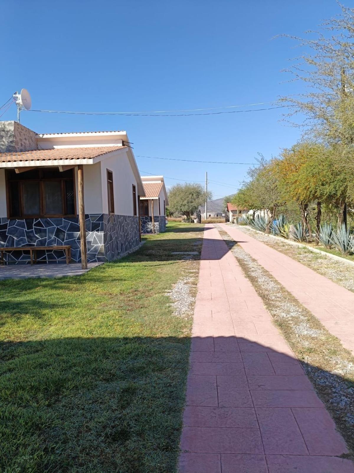 Cabanas Los Olivos Ixmiquilpan Eksteriør billede